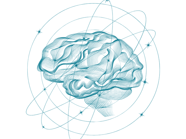 I Jornada Internacional SEDAN. Sensaciones, Emociones y Dolor en Alteraciones del Neurodesarrollo. De la Investigación a la práctica clínica.